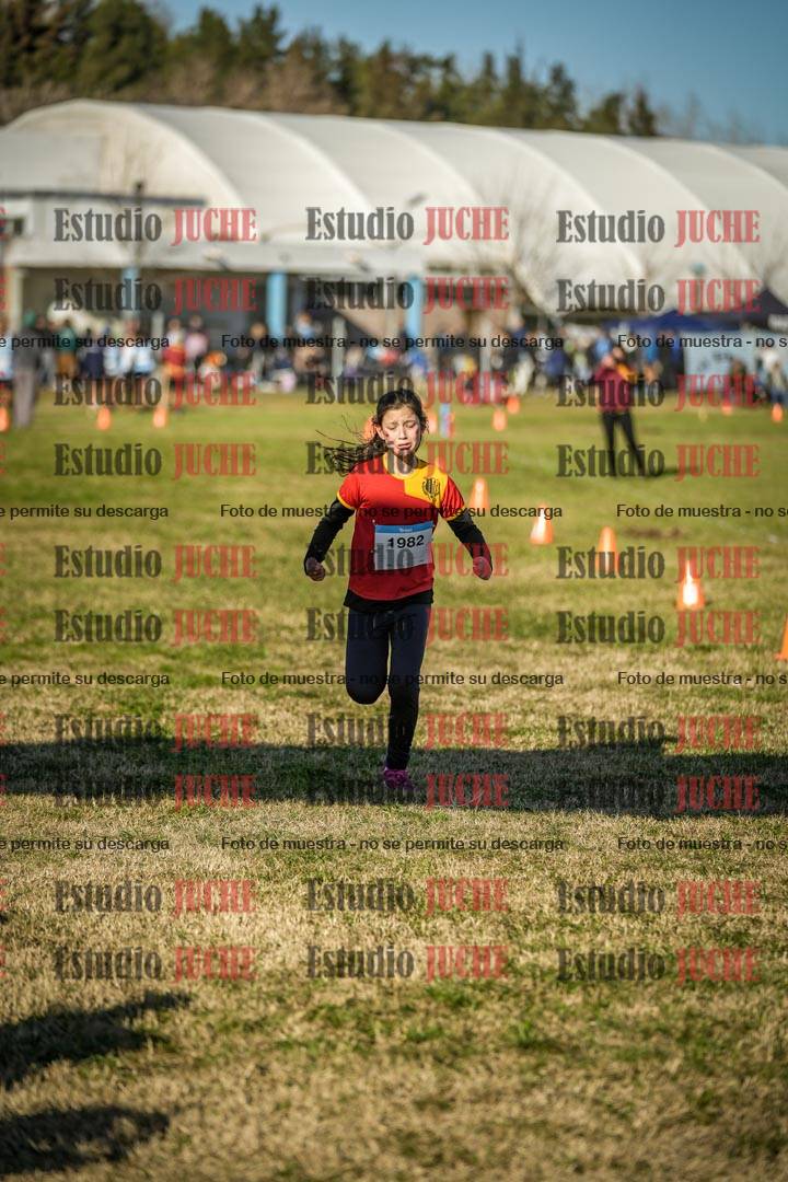 Fotos de las llegadas