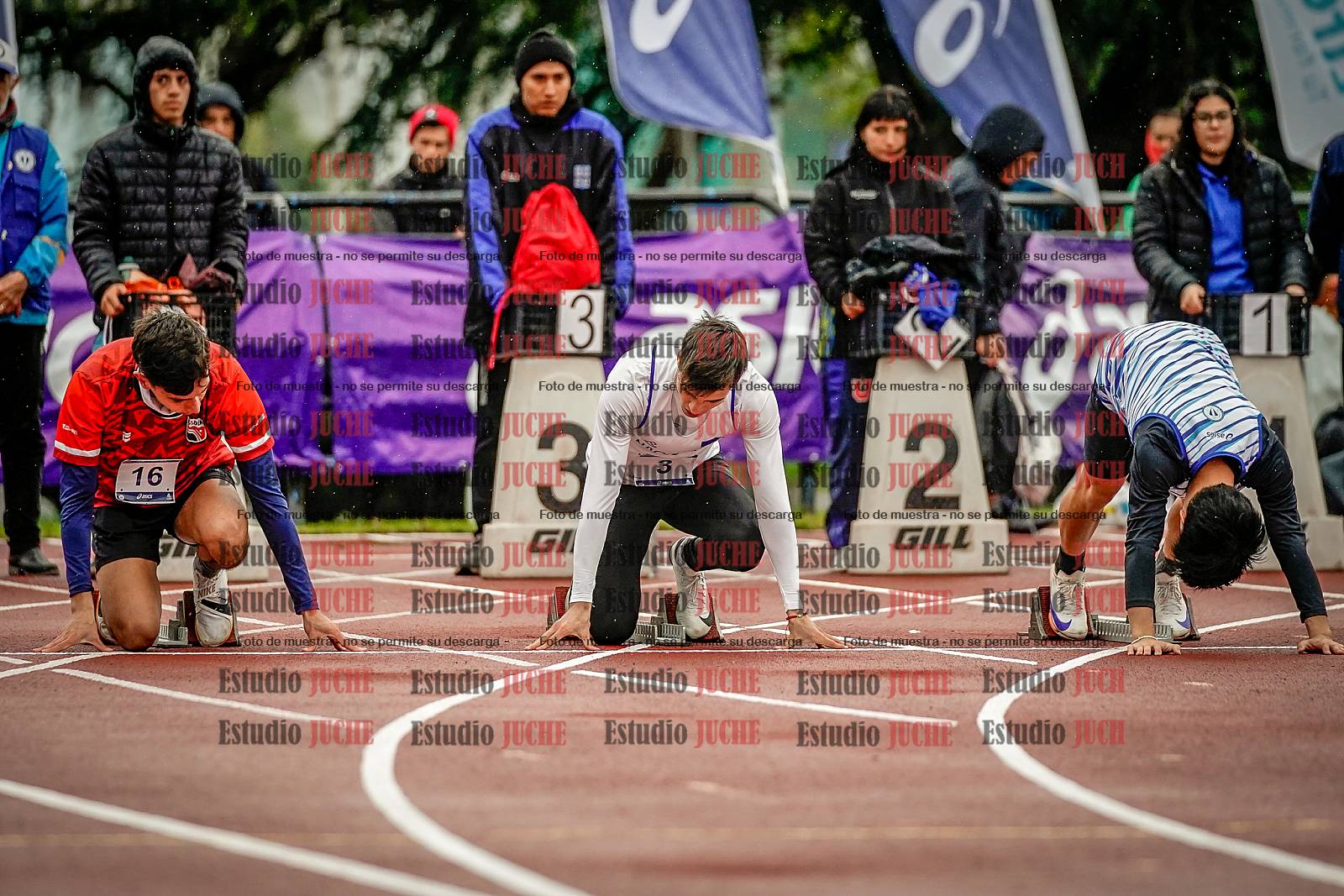 Fotos de los 100 m llanos de varones