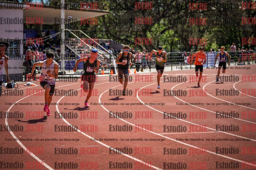 Fotos de los 800 m llanos de varones