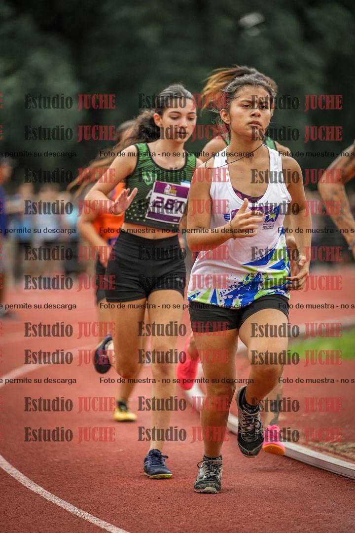 Fotos de los 800 m llanos de mujeres