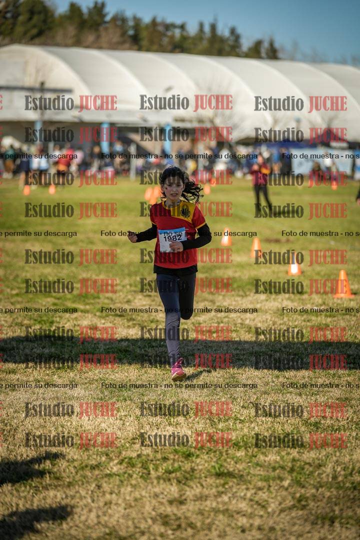 Fotos de las llegadas