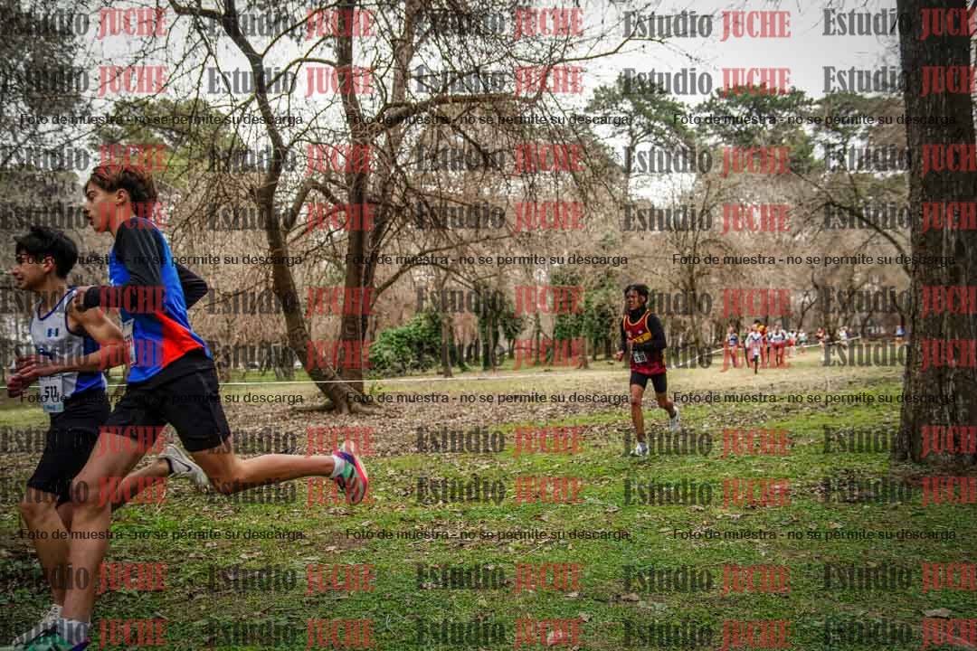Fotos en el circuito