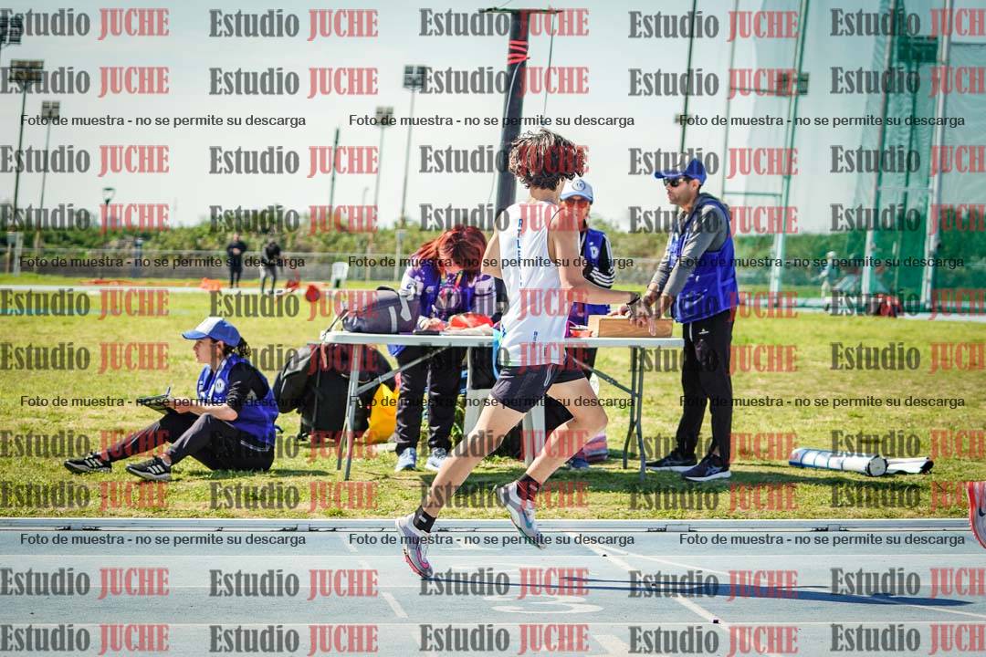 Fotos de los 800 m llanos de varones