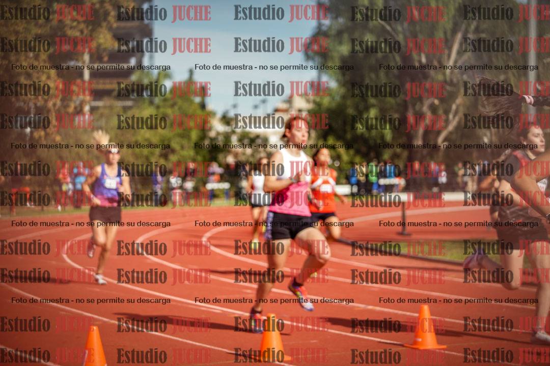 Fotos de los 800 m llanos de mujeres