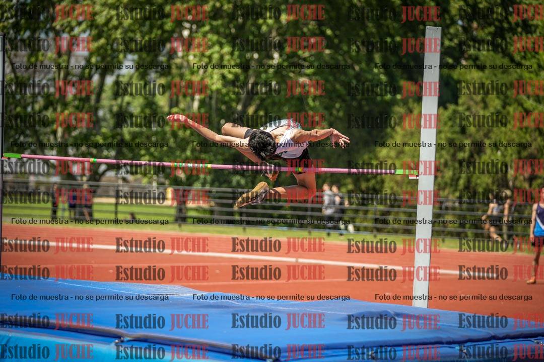 Fotos del salto en alto de varones