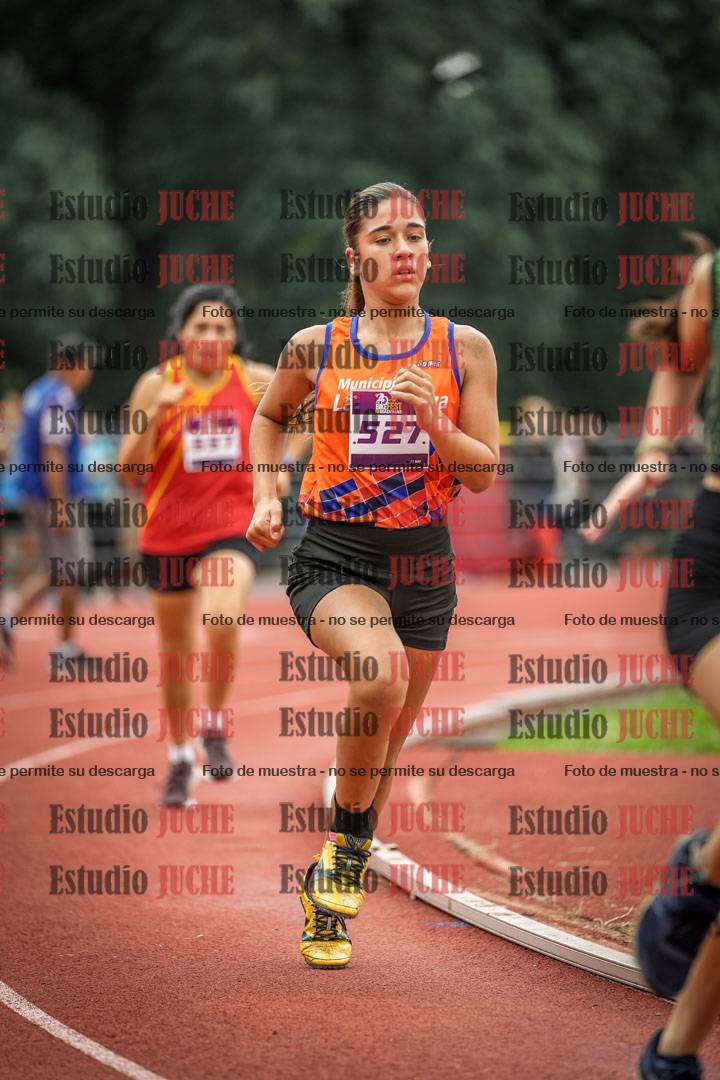 Fotos de los 800 m llanos de mujeres
