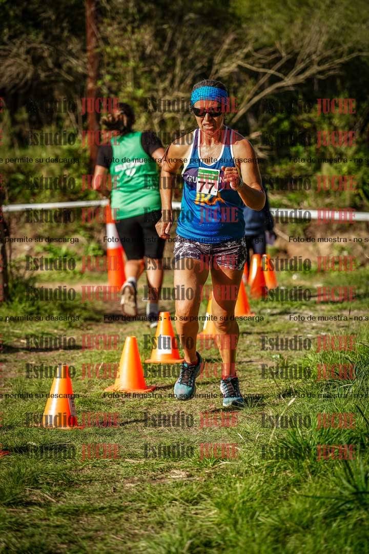 Fotos en el circuito