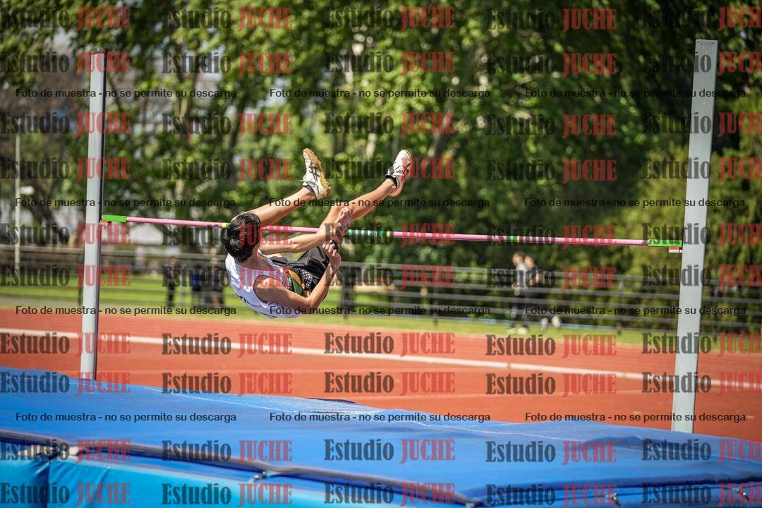 Fotos del salto en alto de varones
