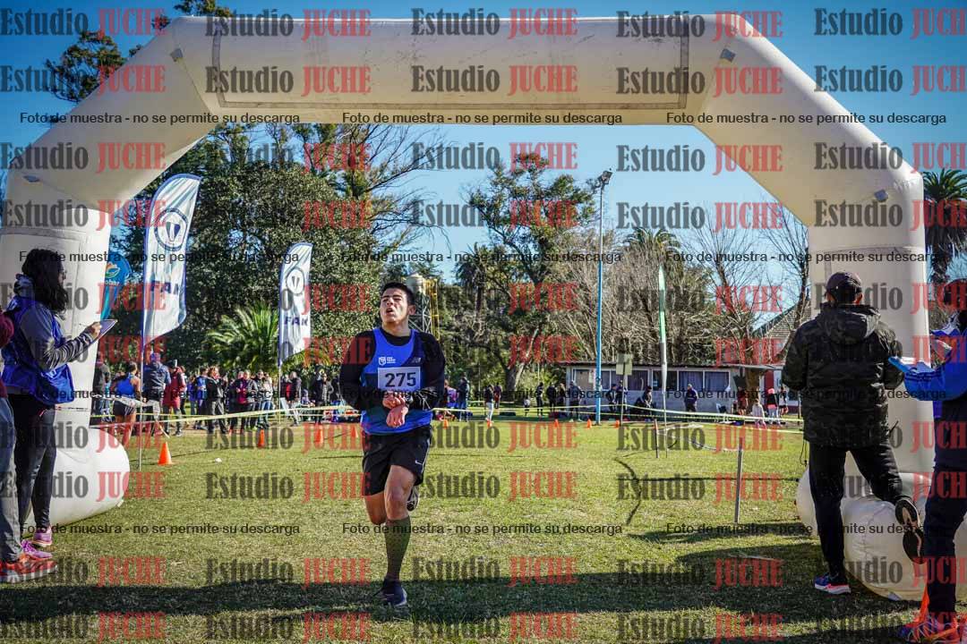 Fotos de la llegada del cross de 6000 m