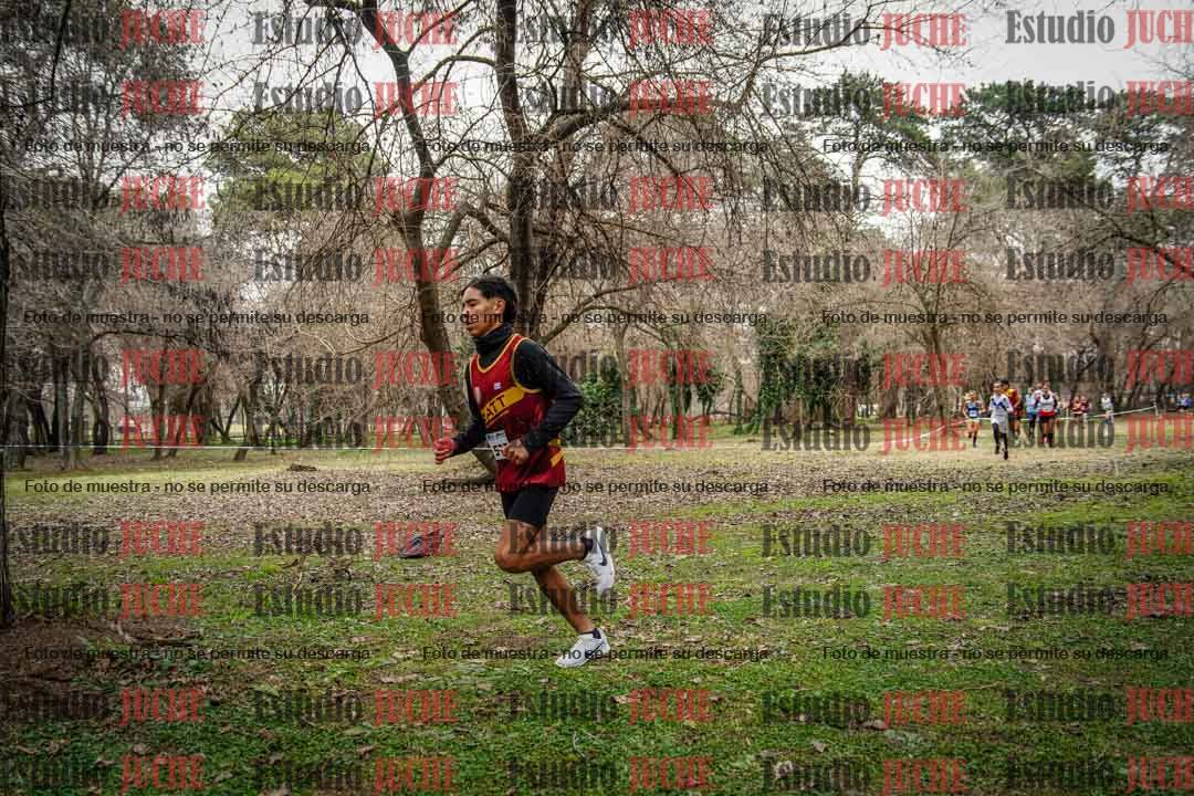 Fotos en el circuito