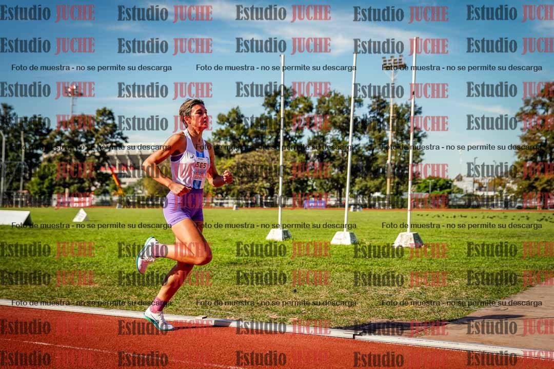 Fotos de los 800 m llanos de mujeres