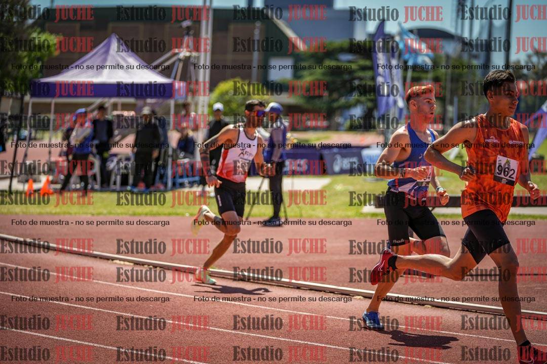 Fotos de los 800 m llanos de varones