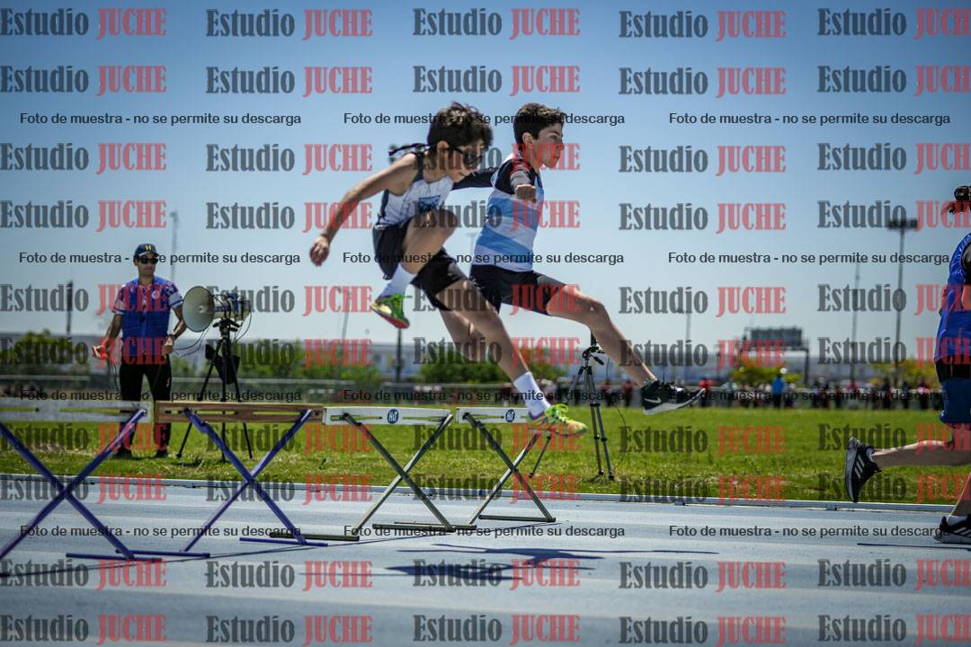 Fotos de los 60 m con vallas de varones