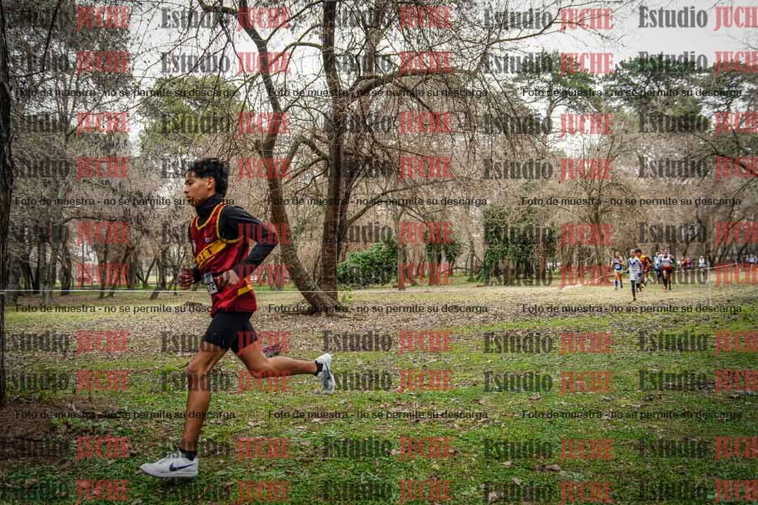 Fotos en el circuito