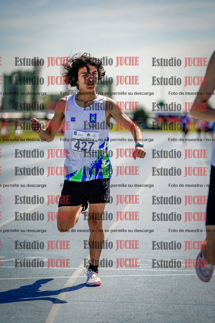 Fotos de los 800 m llanos de varones
