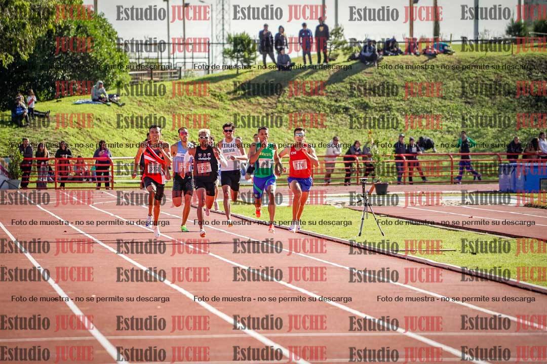 Fotos de los 800 m llanos de varones