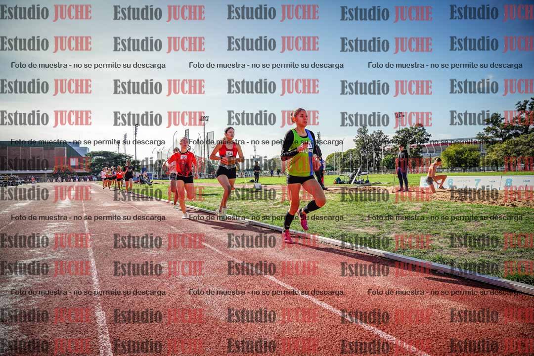 Fotos de los 800 m llanos de mujeres