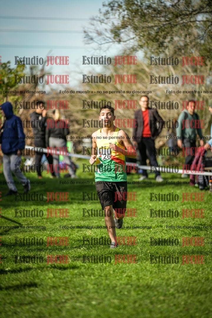 Fotos de la llegada del cross de 6000 m