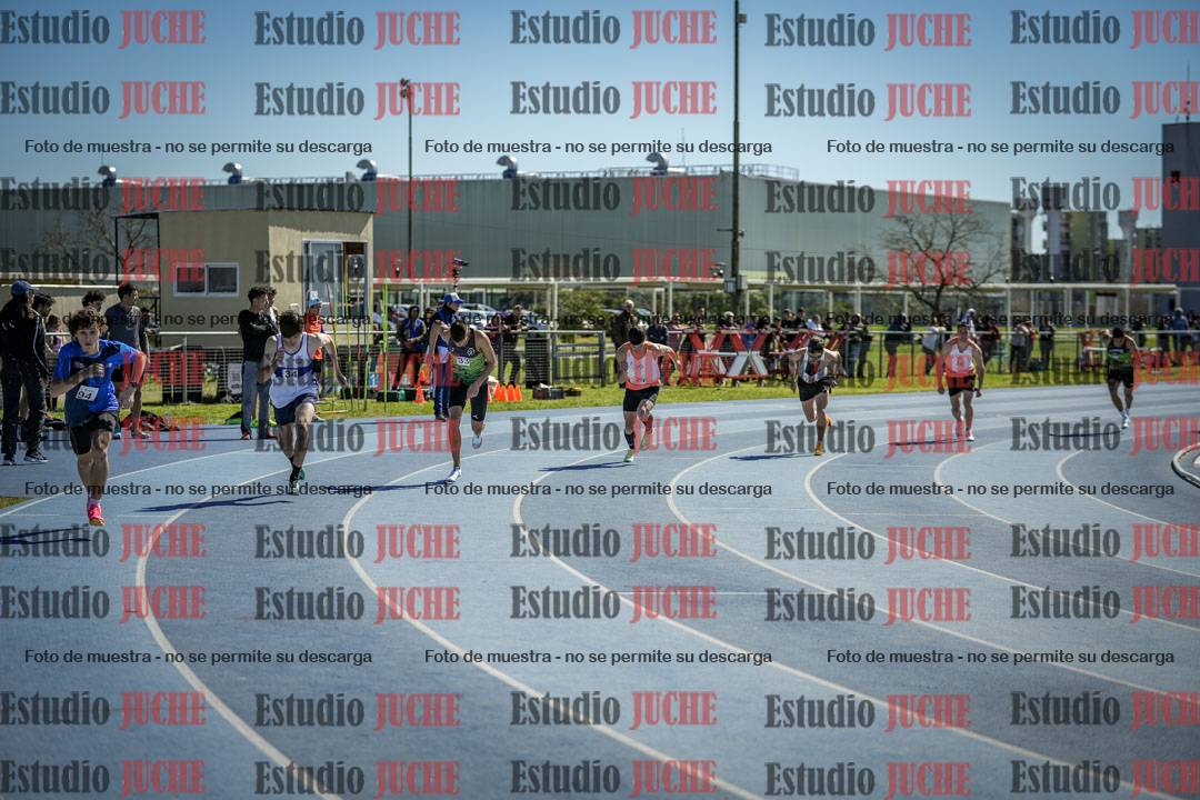 Fotos de los 800 m llanos de varones