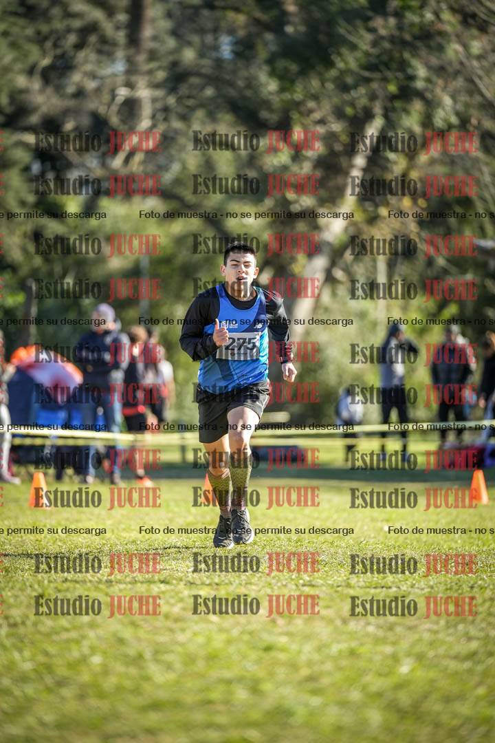 Fotos de la llegada del cross de 6000 m