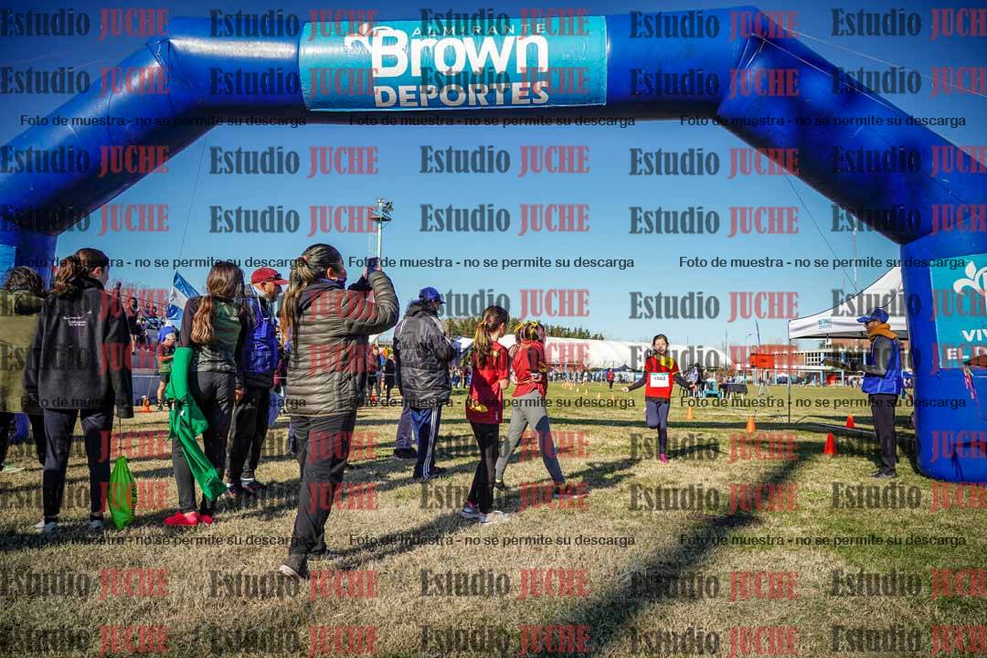 Fotos de las llegadas