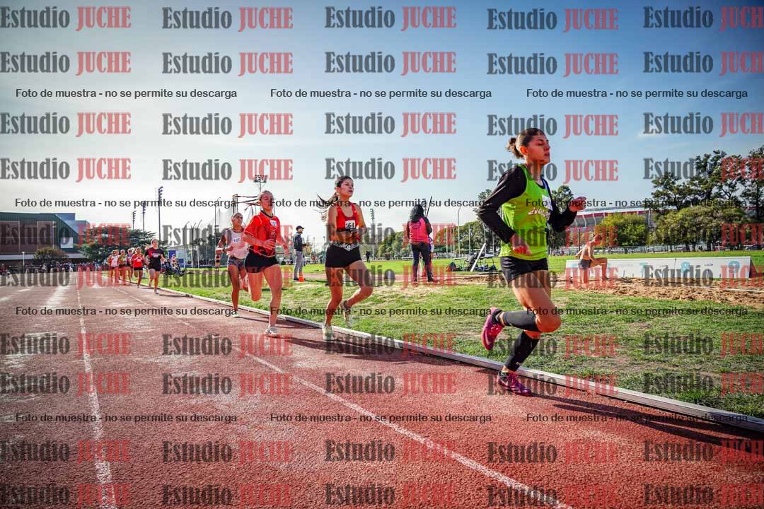 Fotos de los 800 m llanos de mujeres