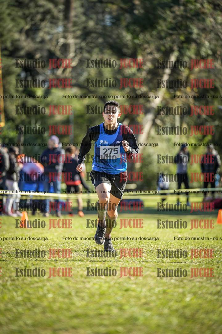 Fotos de la llegada del cross de 6000 m