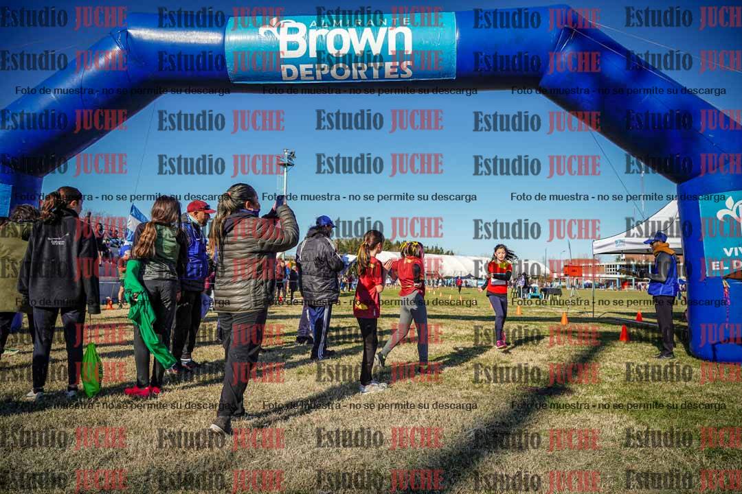 Fotos de las llegadas