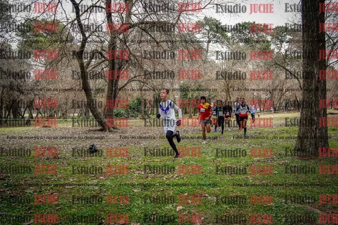 Fotos en el circuito