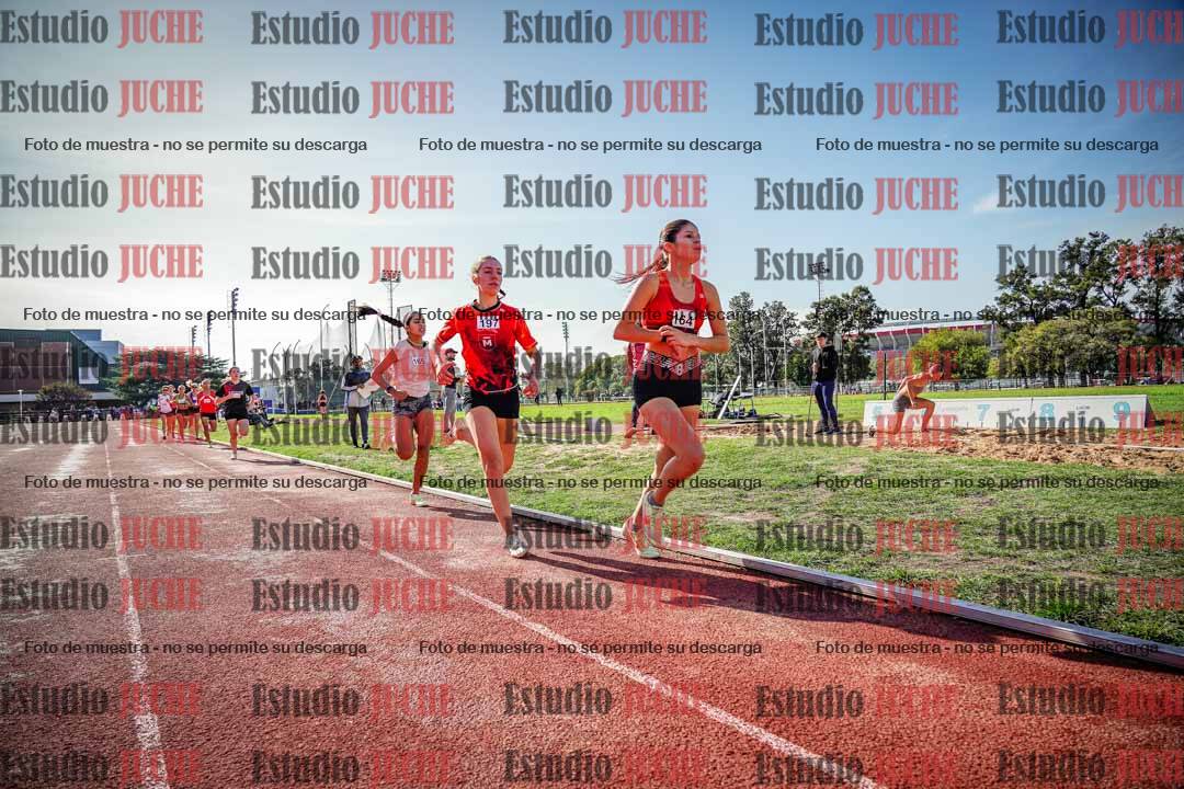 Fotos de los 800 m llanos de mujeres