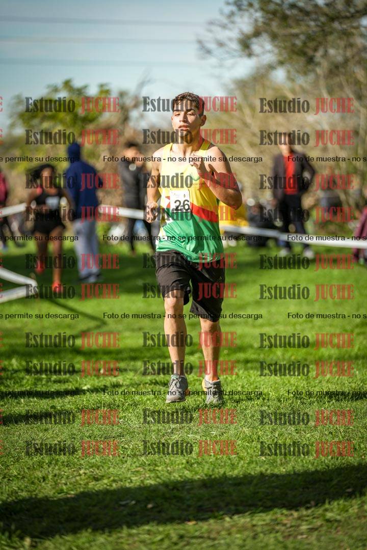 Fotos de la llegada del cross de 6000 m