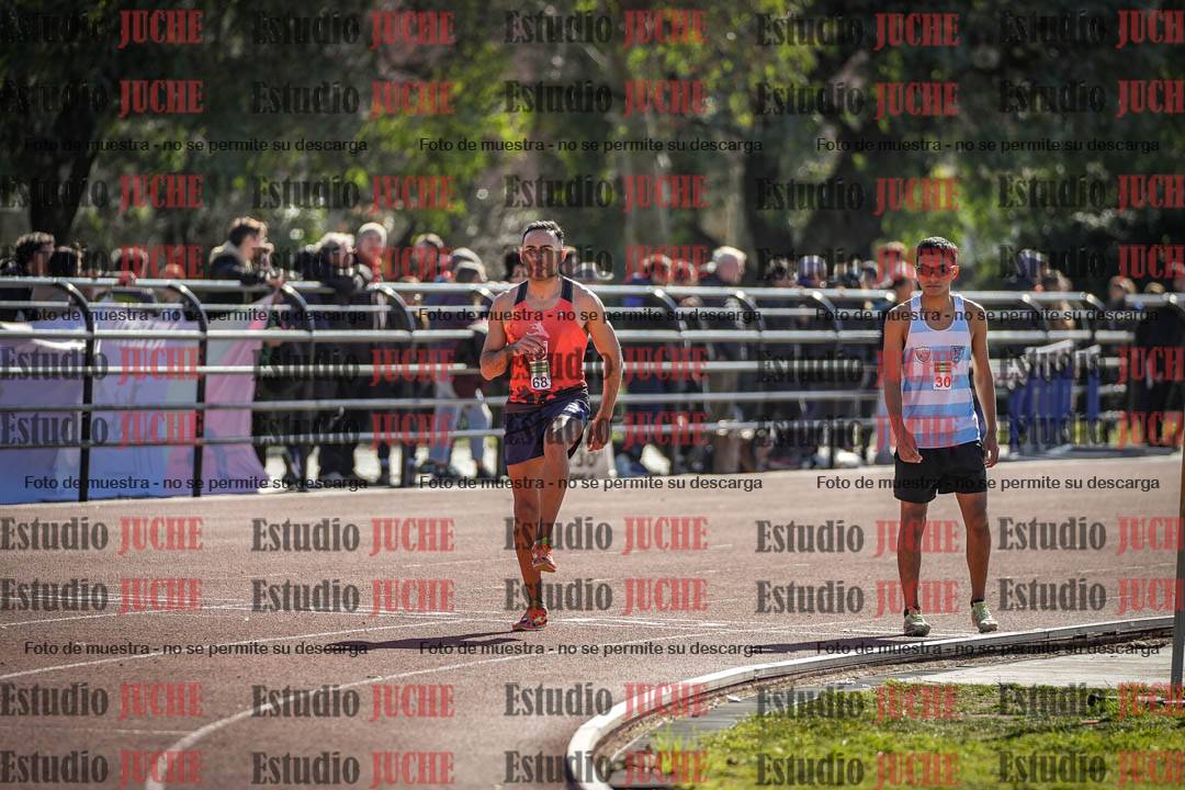 Fotos de los 800 m llanos de varones