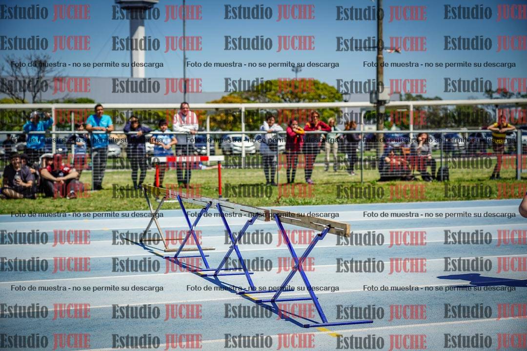 Fotos de los 60 m con vallas de varones