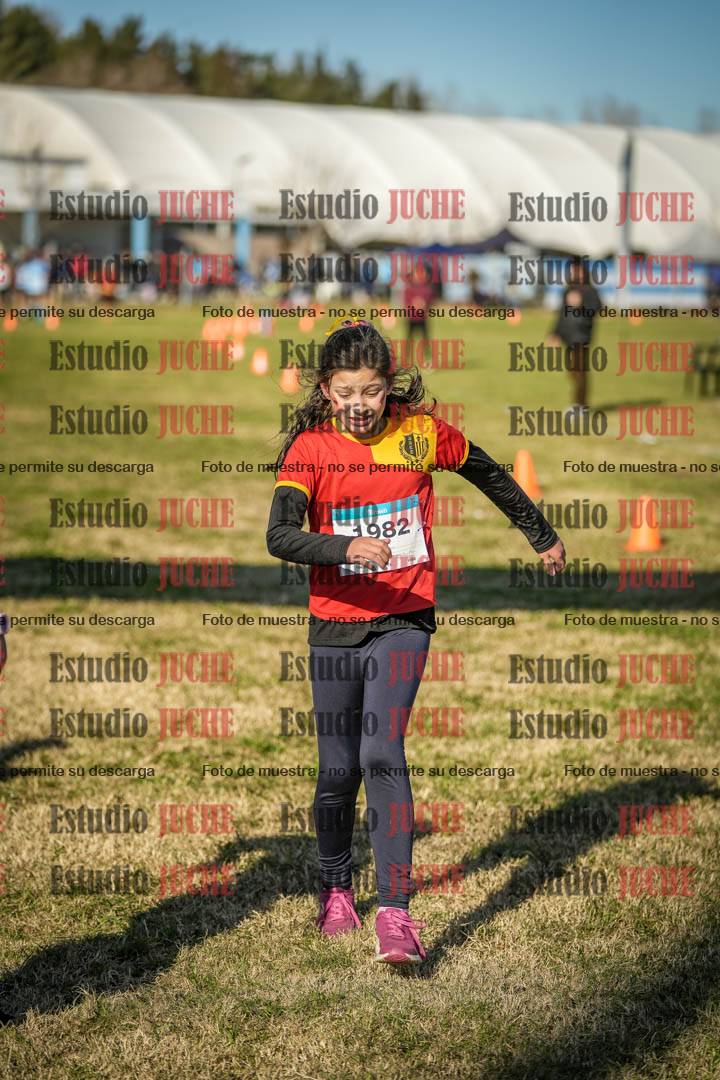 Fotos de las llegadas