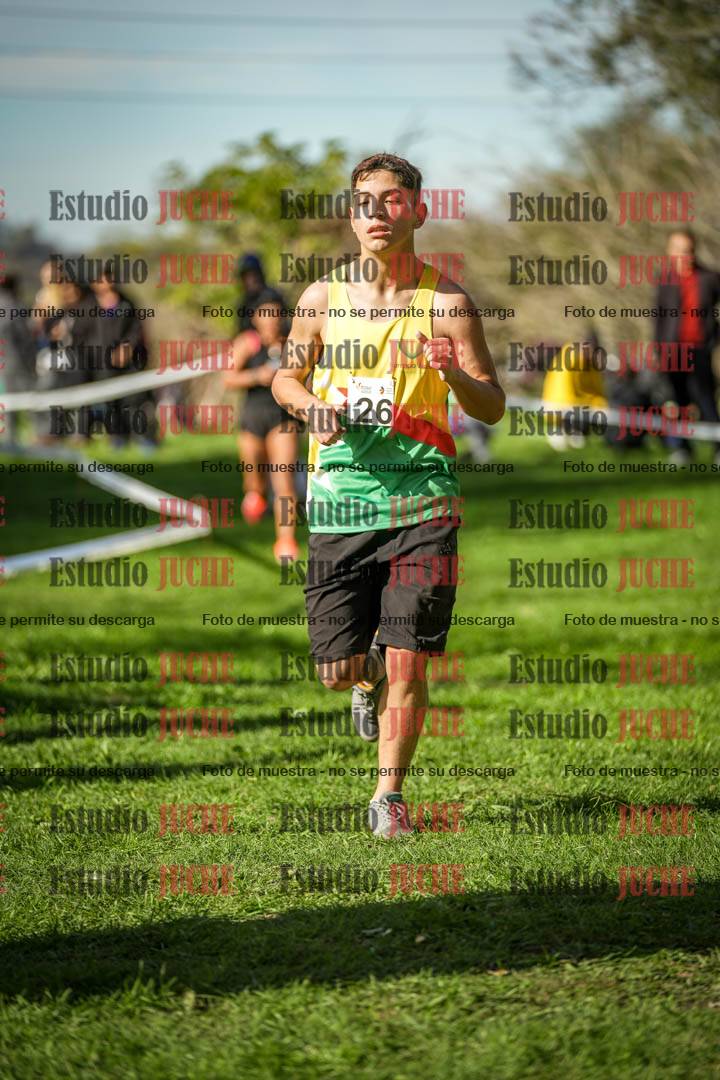Fotos de la llegada del cross de 6000 m