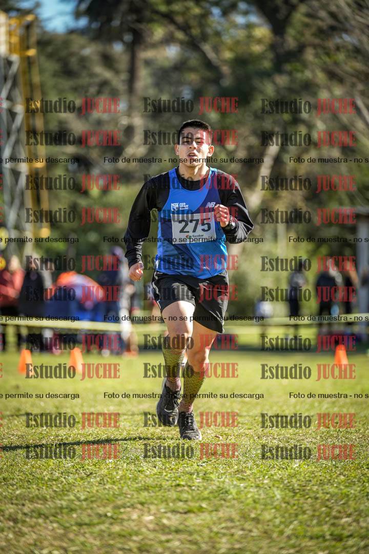 Fotos de la llegada del cross de 6000 m