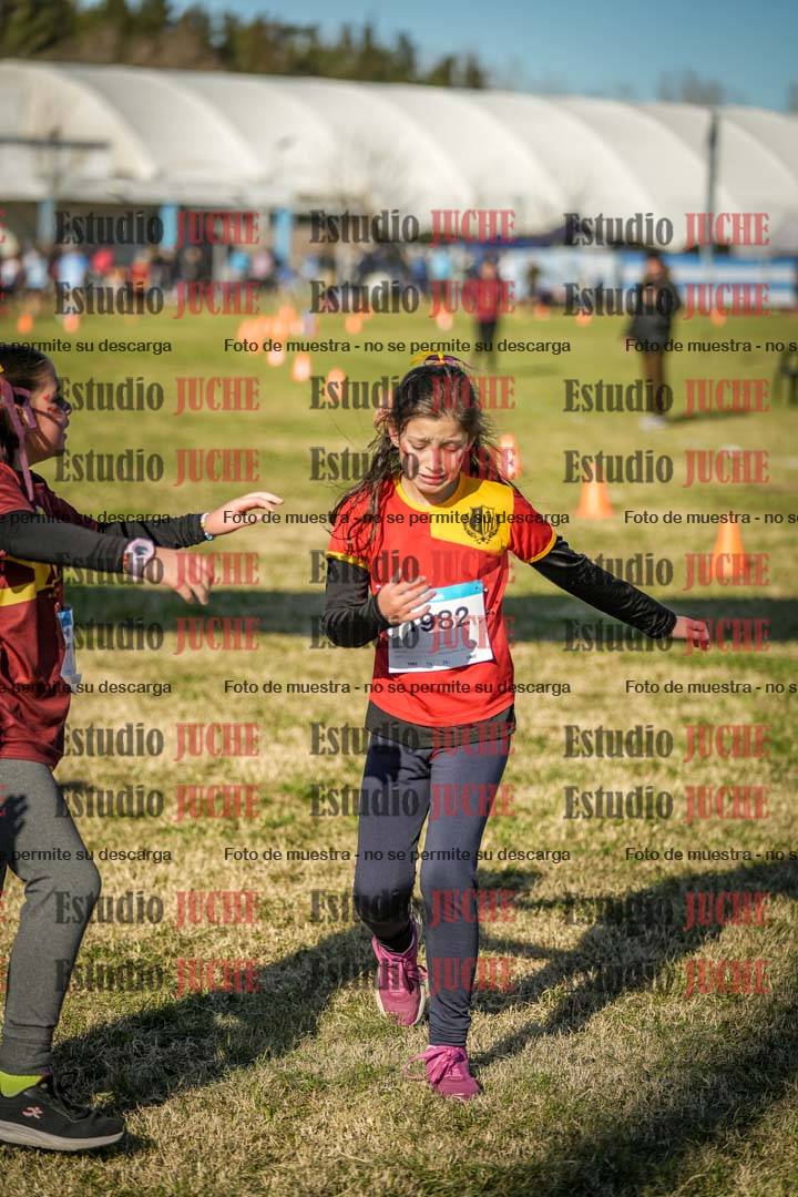 Fotos de las llegadas