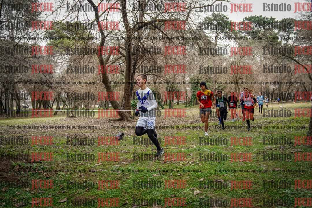 Fotos en el circuito