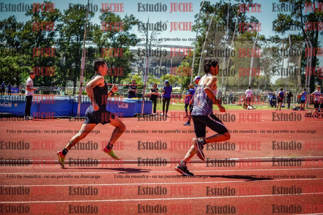 Fotos de los 800 m llanos de varones