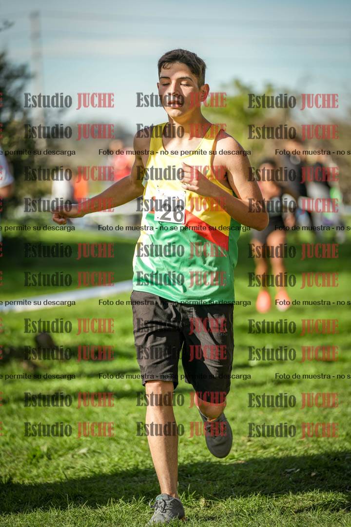 Fotos de la llegada del cross de 6000 m
