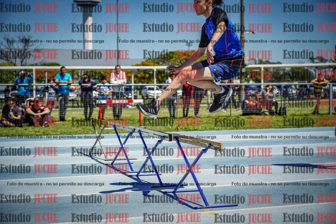 Fotos de los 60 m con vallas de varones