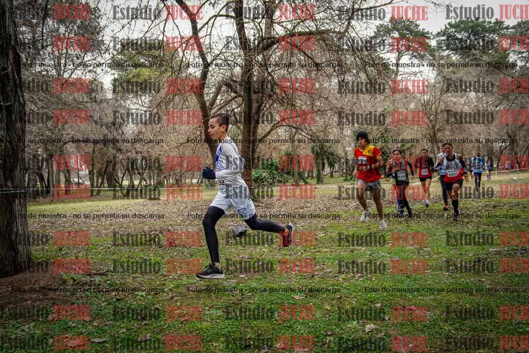 Fotos en el circuito