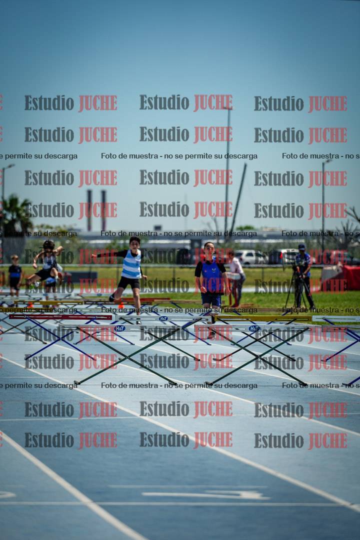 Fotos de los 60 m con vallas de varones