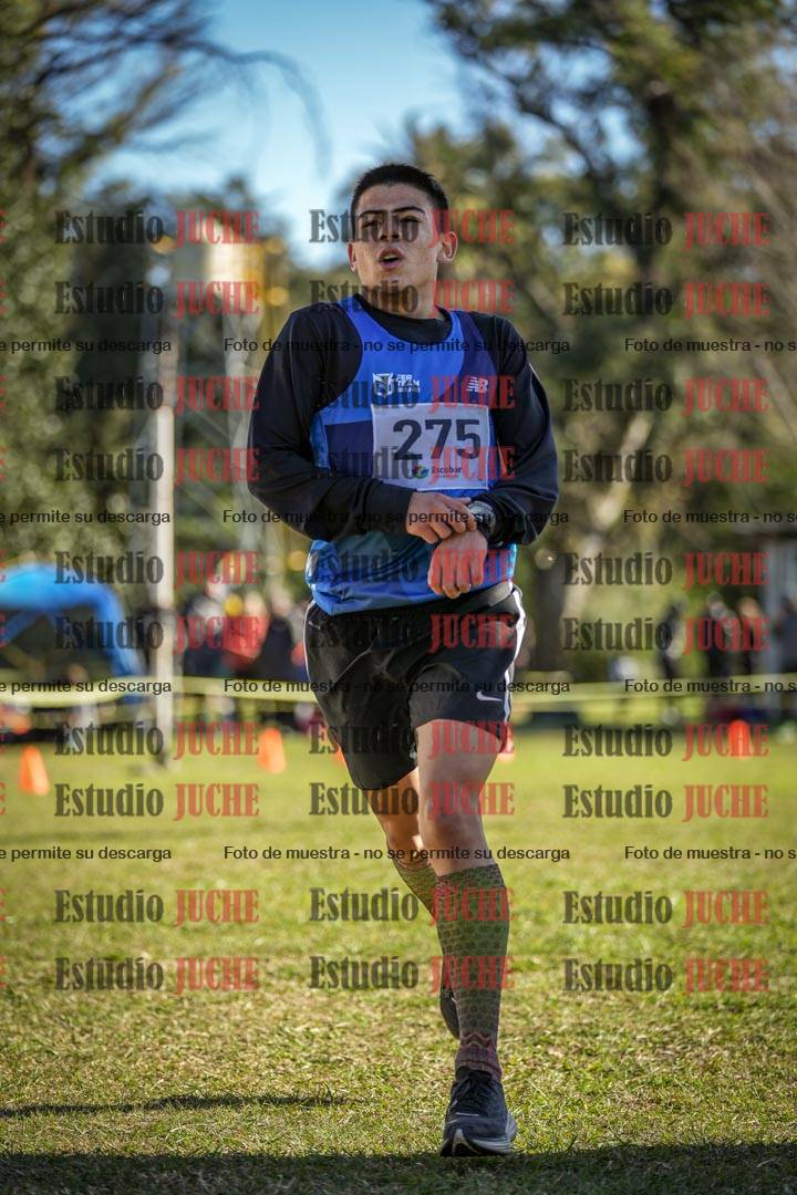 Fotos de la llegada del cross de 6000 m