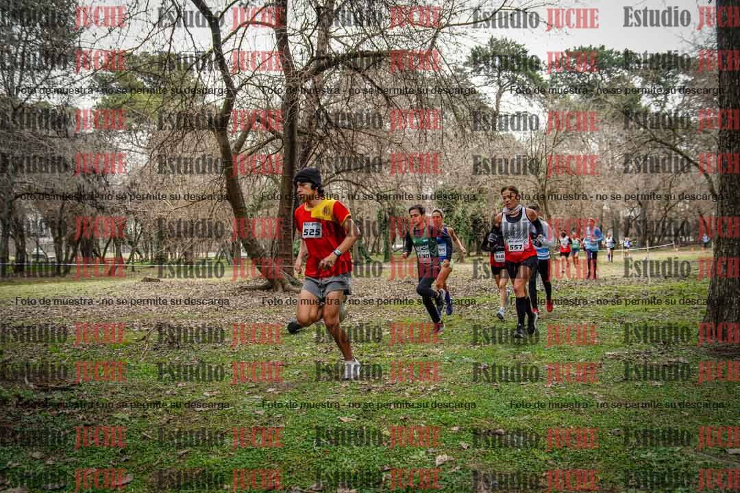 Fotos en el circuito