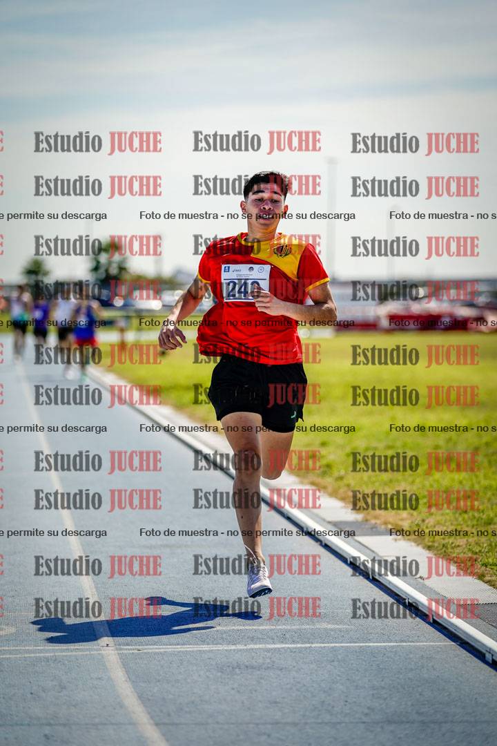 Fotos de los 800 m llanos de varones