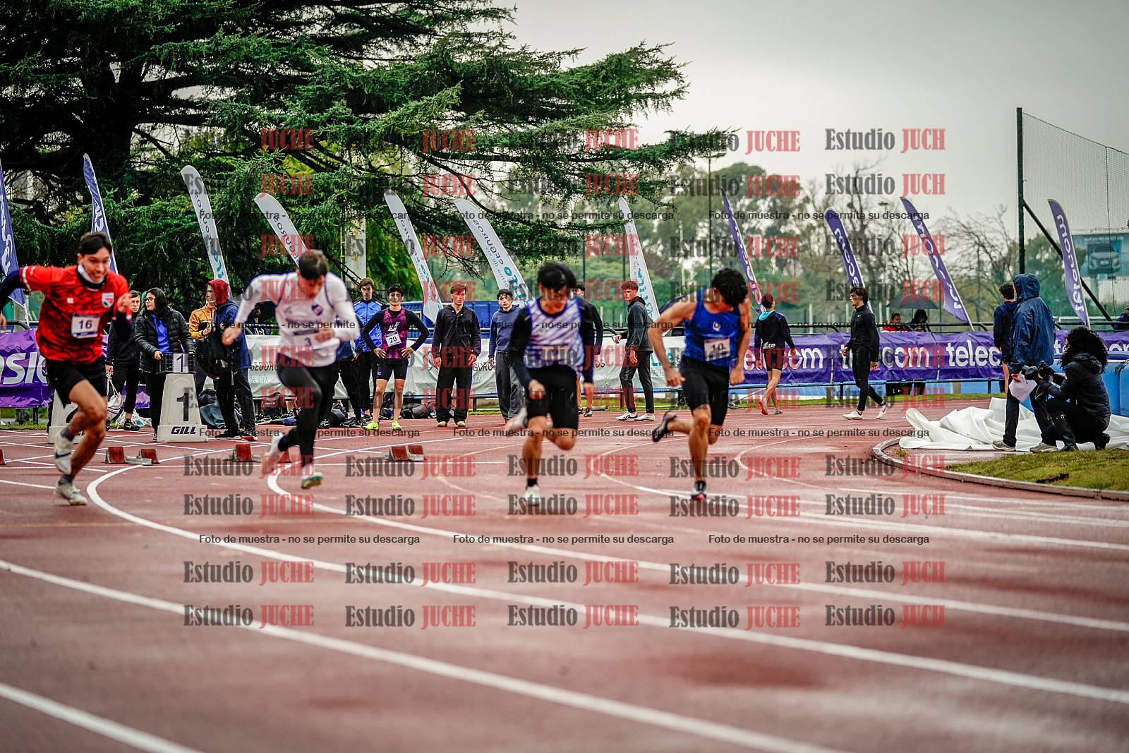 Fotos de los 100 m llanos de varones