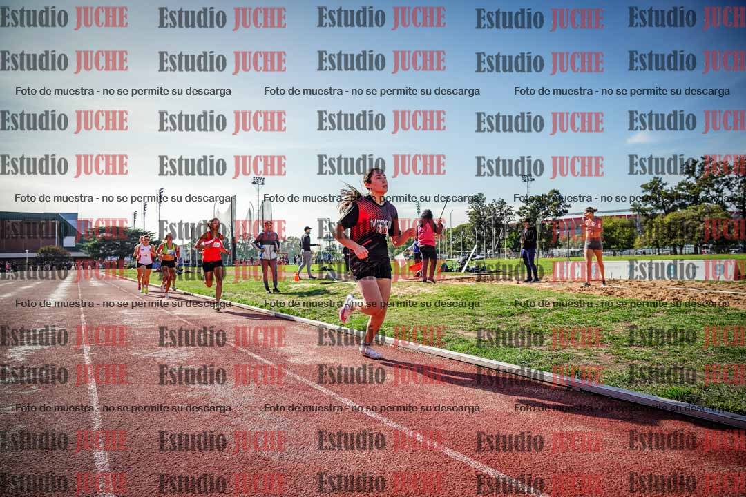 Fotos de los 800 m llanos de mujeres