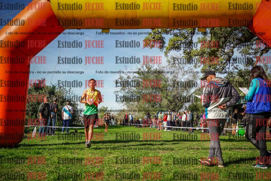 Fotos de la llegada del cross de 6000 m
