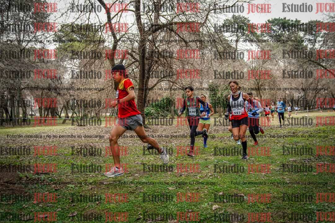 Fotos en el circuito